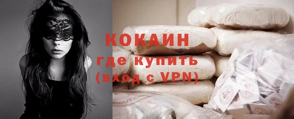 твердый Бердск