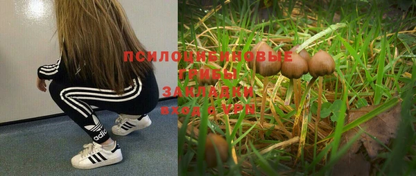 spice Медвежьегорск