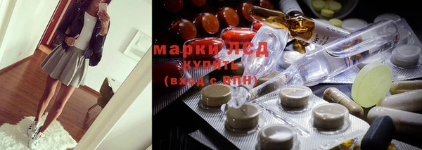 spice Медвежьегорск