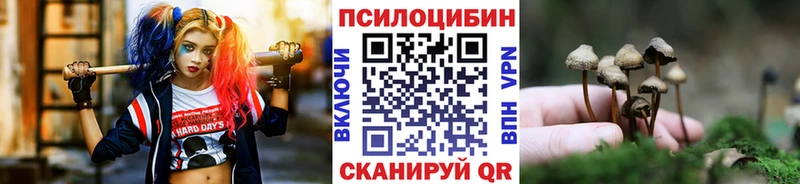нарко площадка клад  Щёлкино  Псилоцибиновые грибы MAGIC MUSHROOMS  кракен ссылки 